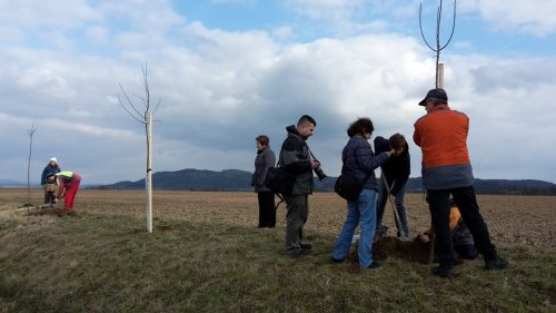 2016 Alej na Podol&iacute;