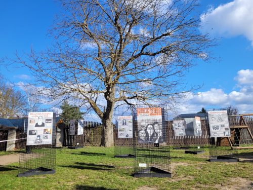 2026-5-Putinova klec